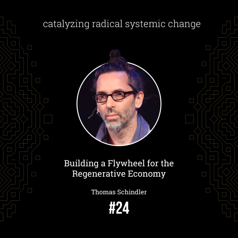 #24 - Building a Flywheel for the Regenerative Economy